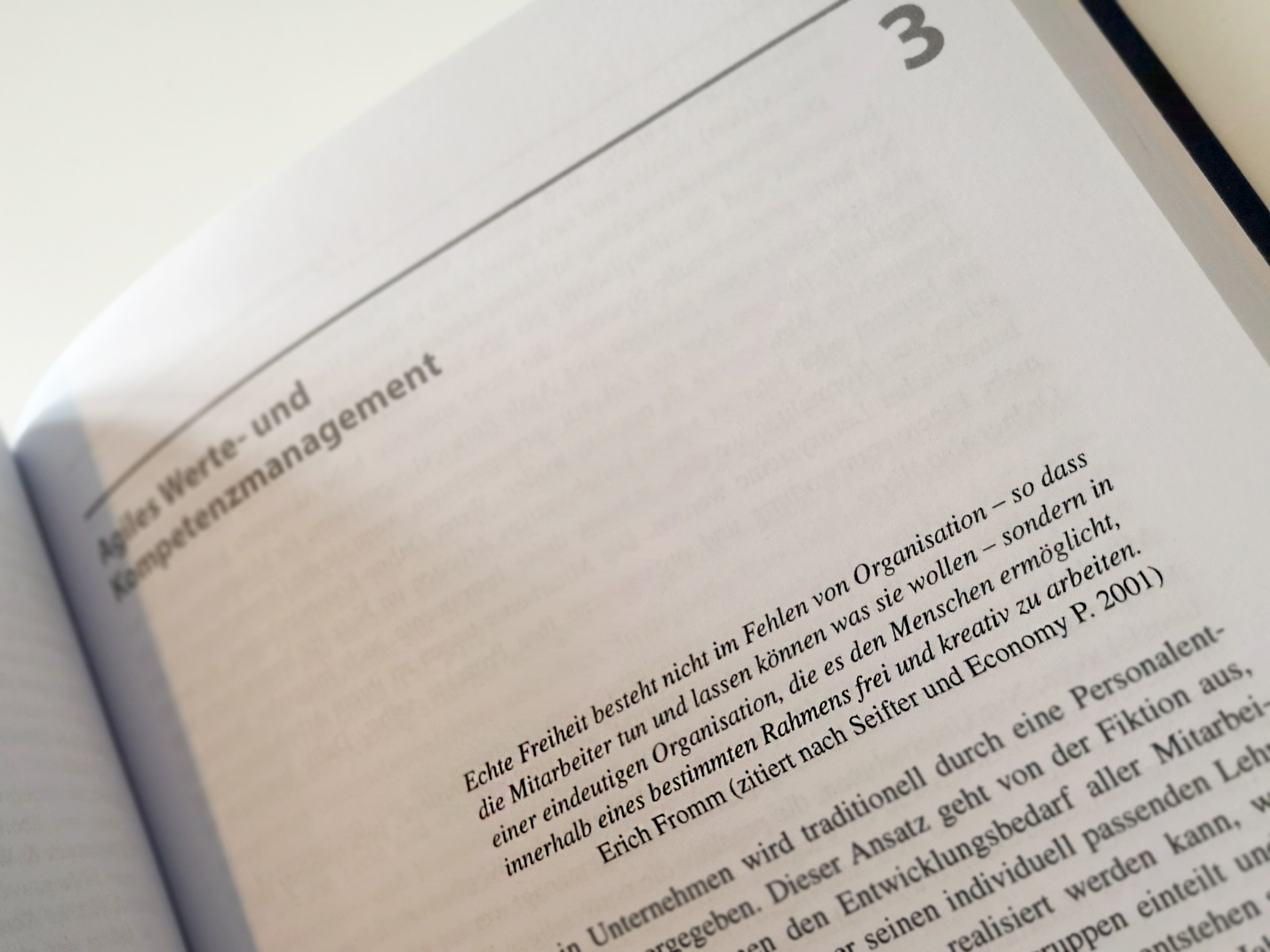 Textauszug - Buch: Agile Werte- und Kompetenzentwicklung